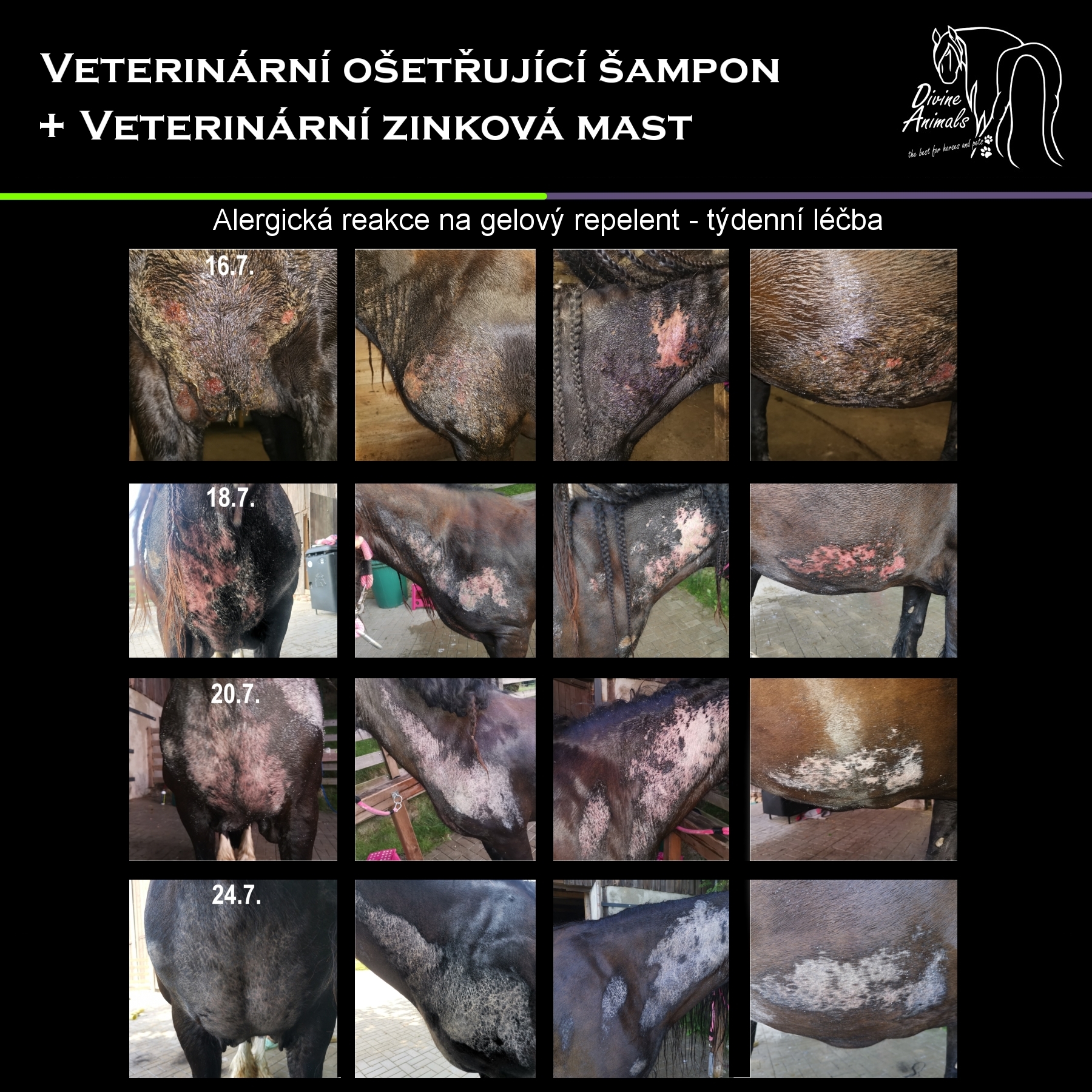 Veterinary care shampoo